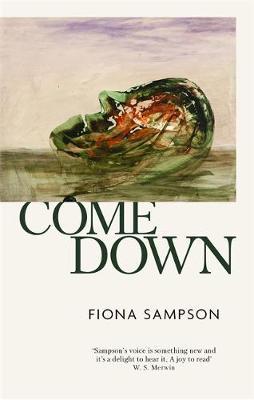 Come Down - Fiona Sampson