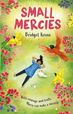 Small Mercies - Bridget Krone