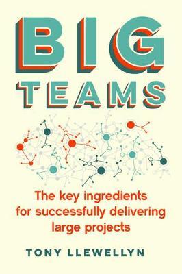 Big Teams - Tony Llewellyn