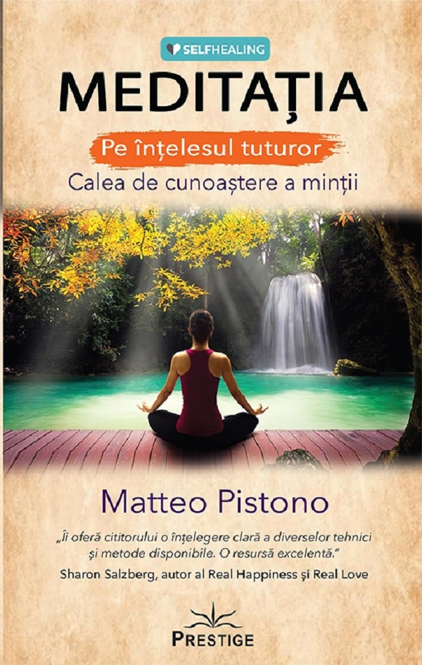 Meditatia pe intelesul tuturor - Matteo Pistono