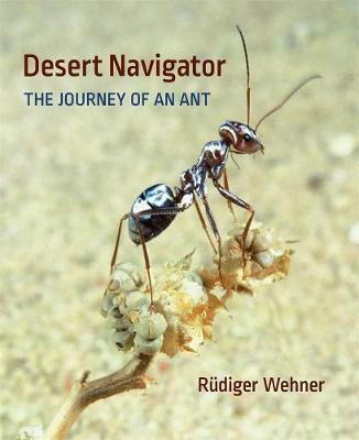 Desert Navigator - R&#65533;diger Wehner