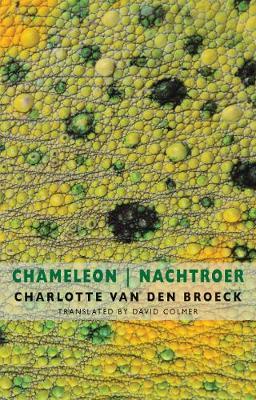 Chameleon   Nachtroer - Charlotte Van den Broeck