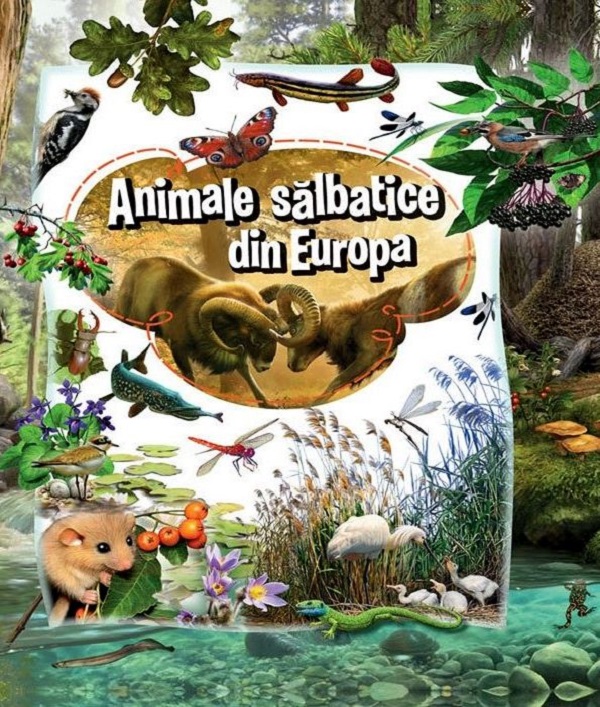 Animale salbatice din Europa