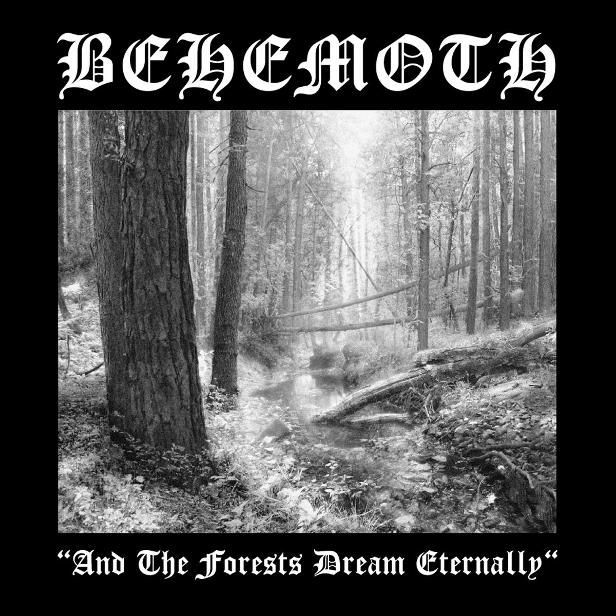 CD Behemoth - And the forests dream eternally