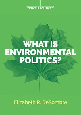 What is Environmental Politics? - Elizabeth R DeSombre