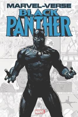 Marvel-verse: Black Panther - Jeff Parker