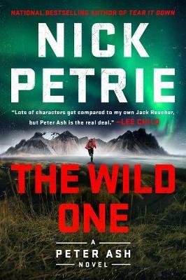 Wild One - Nick Petrie