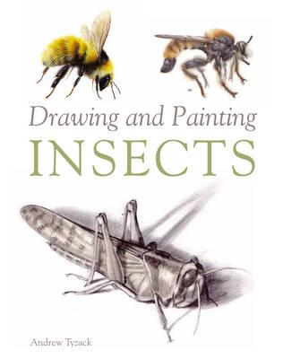 Drawing and Painting Insects - Andrew Tyzack