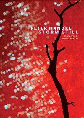 Storm Still - Peter Handke