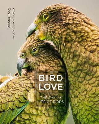 Bird Love - Wenfei Tong