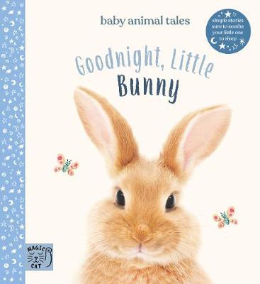 Goodnight, Little Bunny - Amanda Wood