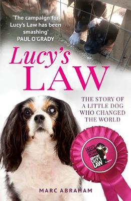 Lucy's Law - Marc Abraham