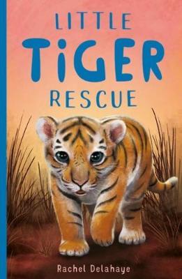 Little Tiger Rescue - Rachel Delahaye