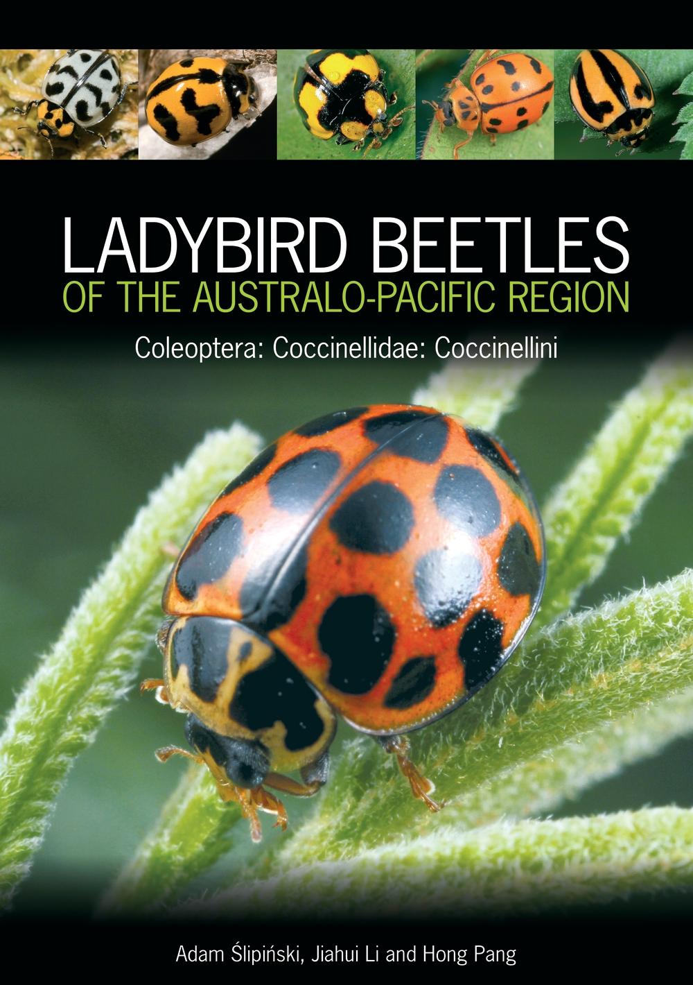 Ladybird Beetles of the Australo-Pacific Region -  