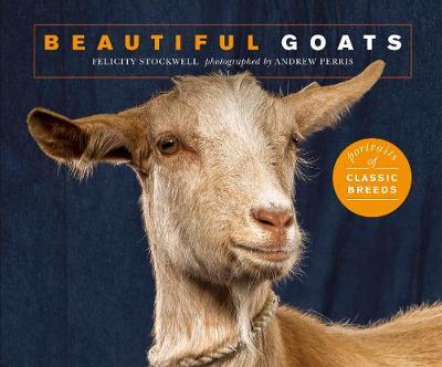 Beautiful Goats - Felicity Stockwell
