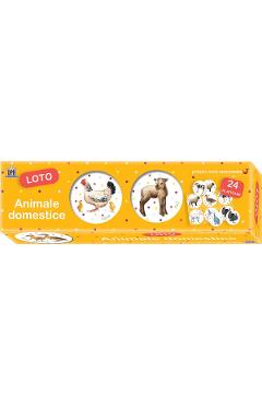 Coperta cărții 'Animale domestice. Loto'