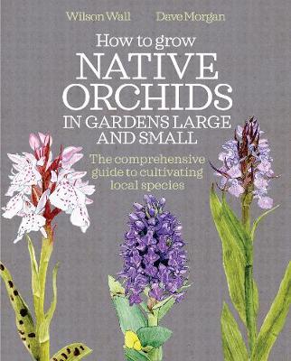 How to Grow Native Orchids in Gardens Large and Small - Wilson Wall