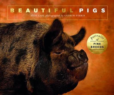 Beautiful Pigs - Andy Case