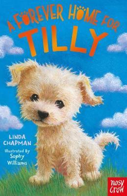 Forever Home for Tilly - Linda Chapman