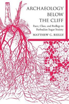 Archaeology below the Cliff - Matthew C. Reilly