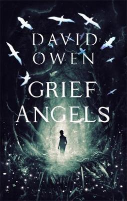 Grief Angels - David Owen