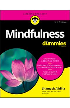 Mindfulness For Dummies - Shamash Alidina