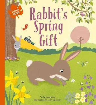 Rabbit's Spring Gift - Anita Loughrey