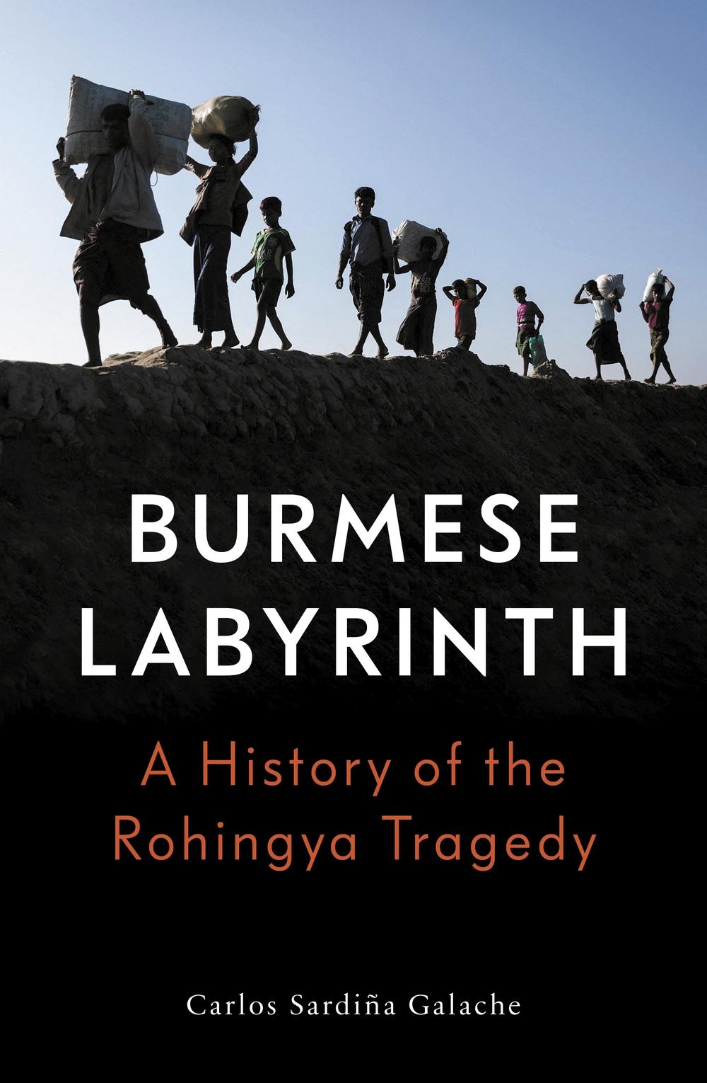 Burmese Labyrinth - Carlos Sardi�a Galache