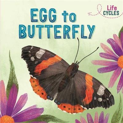Life Cycles: Egg to Butterfly - Rachel Tonkin