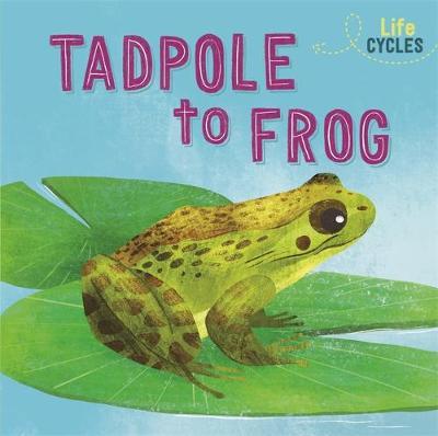 Life Cycles: From Tadpole to Frog - Rachel Tonkin