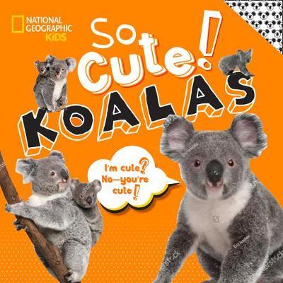 So Cute! Koalas -  