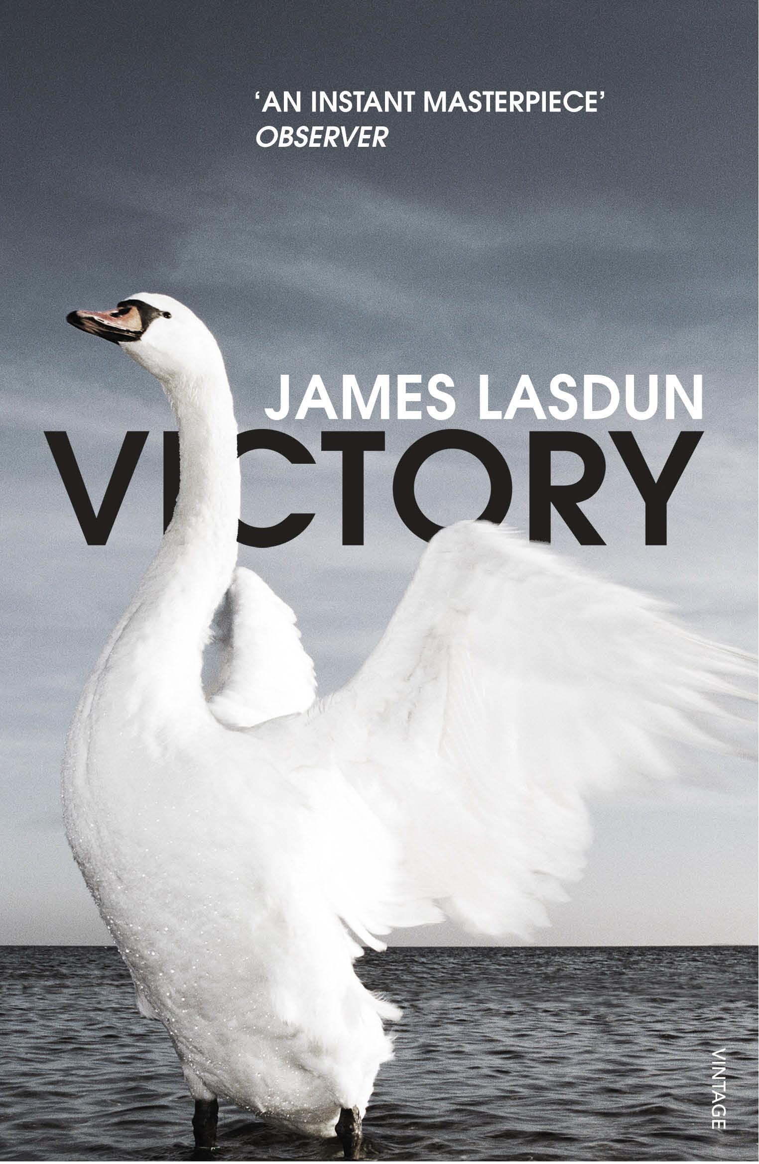 Victory - James Lasdun