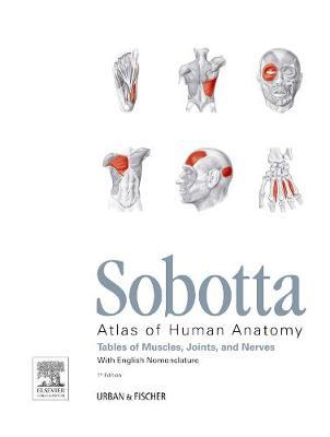 Sobotta Tables of Muscles, Joints and Nerves, English - Jens Waschke