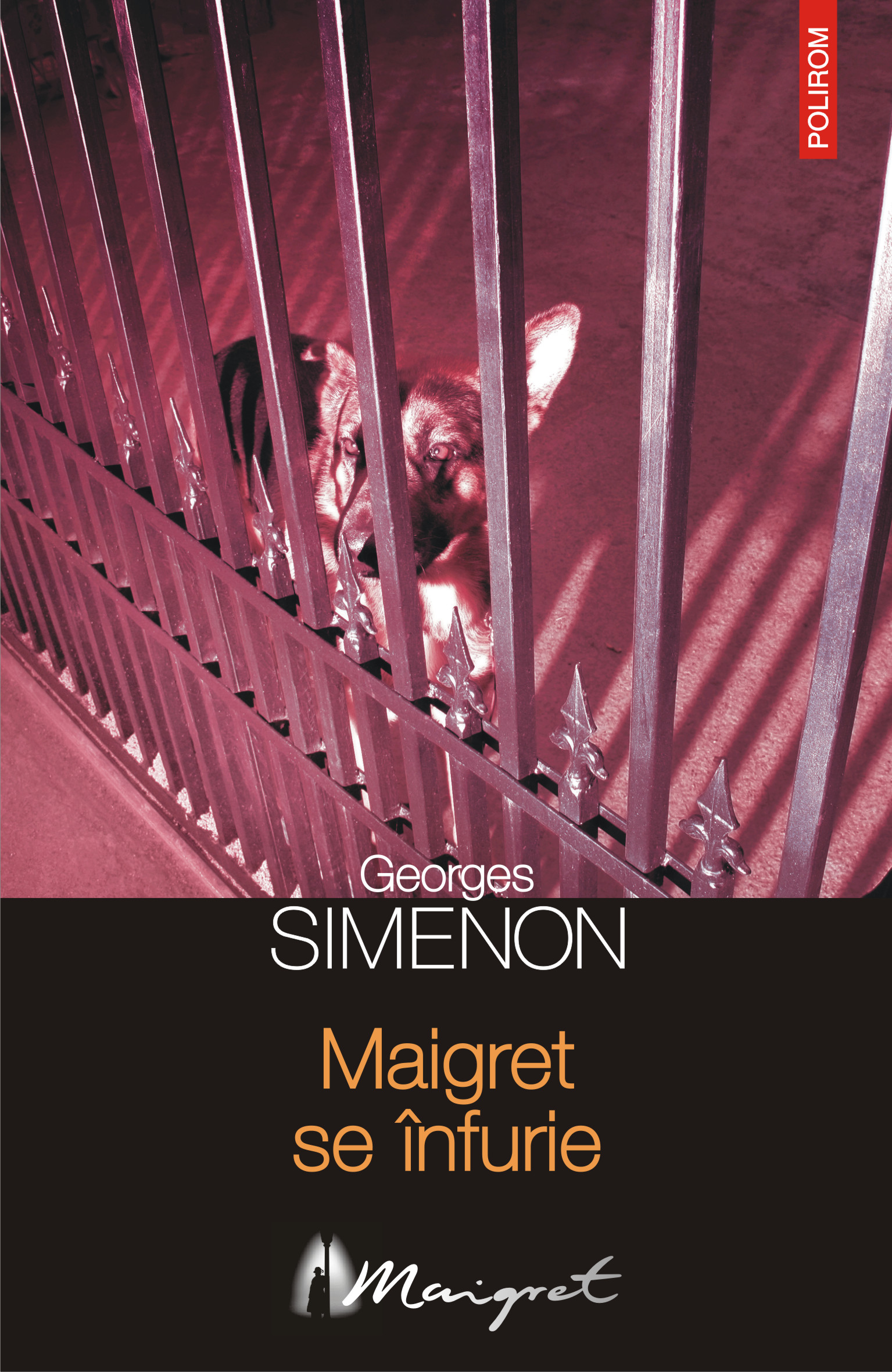 eBook Maigret se infurie - Georges Simenon