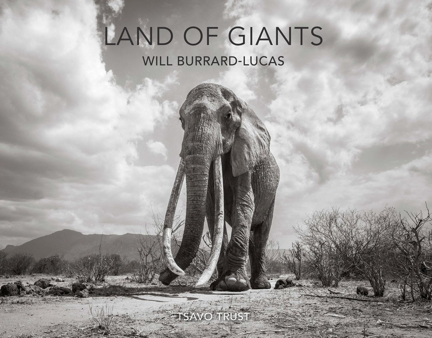 Land of Giants - Will Burrard-Lucas