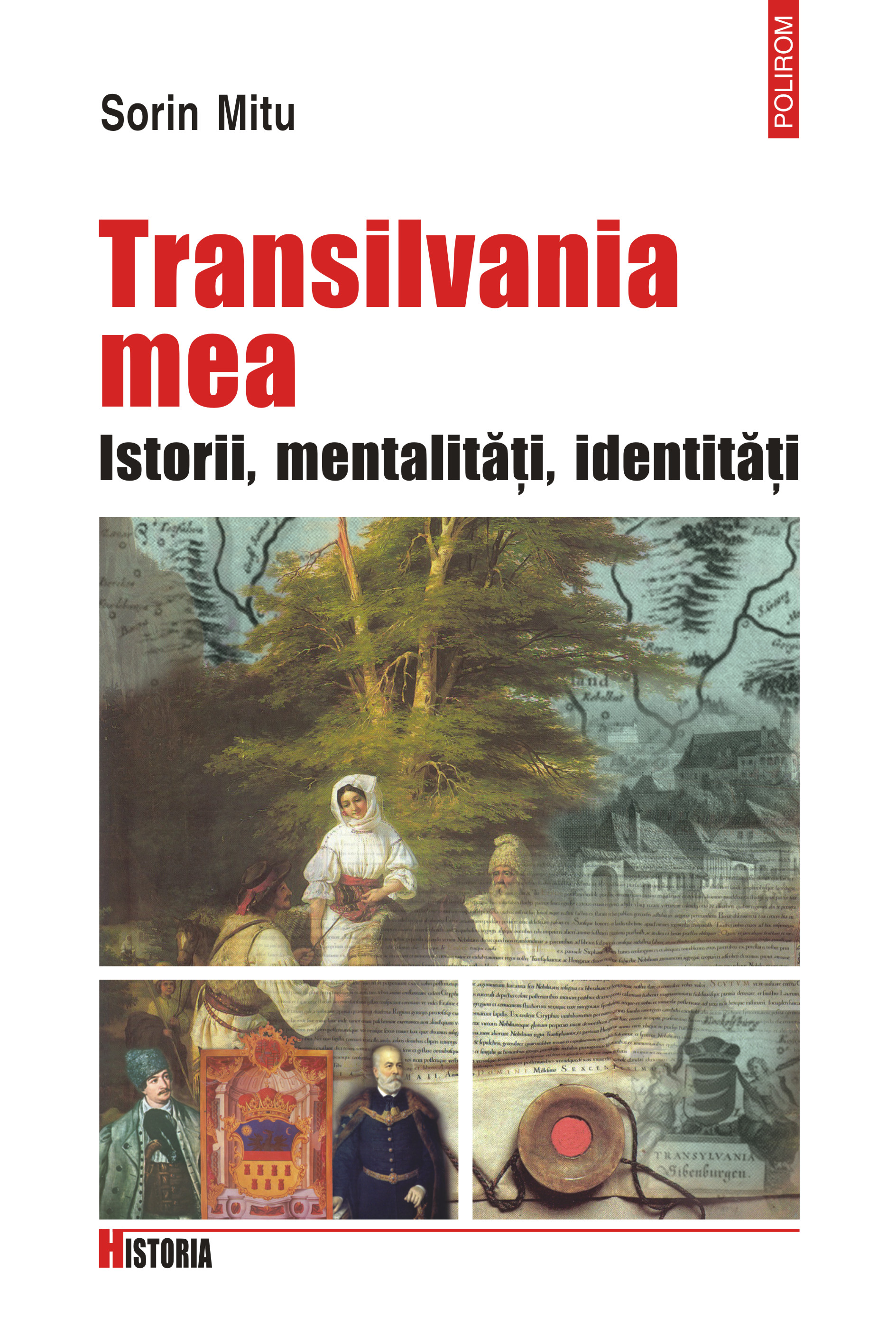 eBook Transilvania mea. Istorii, metalitati, identitati - Sorin Mitu