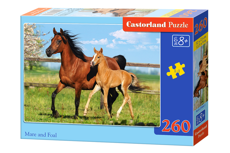 Puzzle 260. Mare and Foal