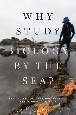Why Study Biology by the Sea? - Karl S Matlin