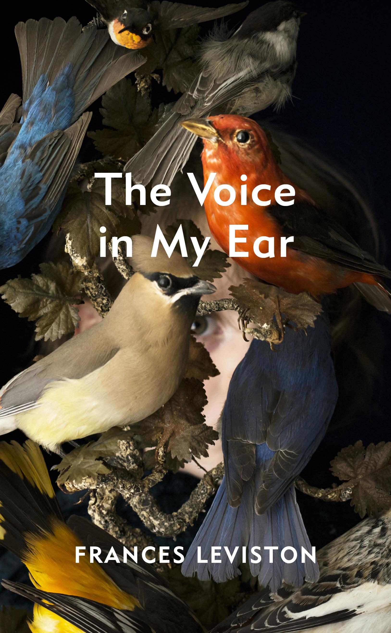 Voice in My Ear - Frances Leviston