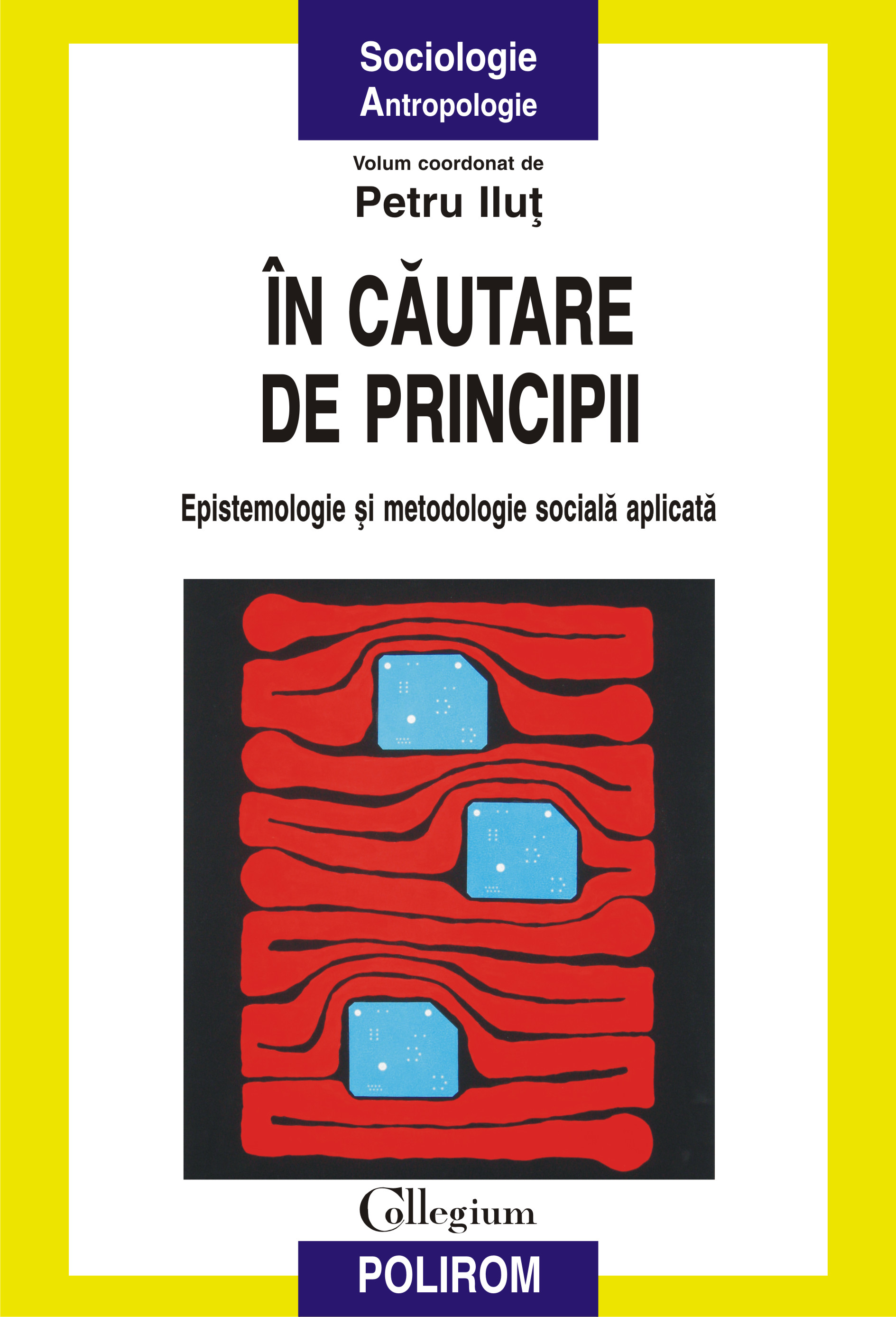 eBook in cautare de principii. Epistemologie si metodologie sociala aplicata - Petru (coord.) Ilut