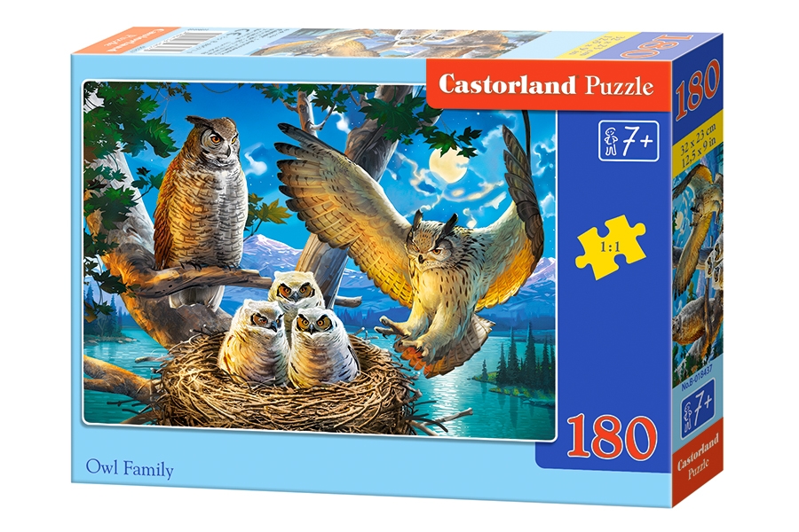 Puzzle 180. Owl Family