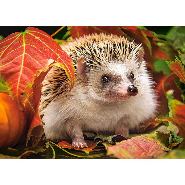 Puzzle 180. Hedgehog in Autumn Leaves