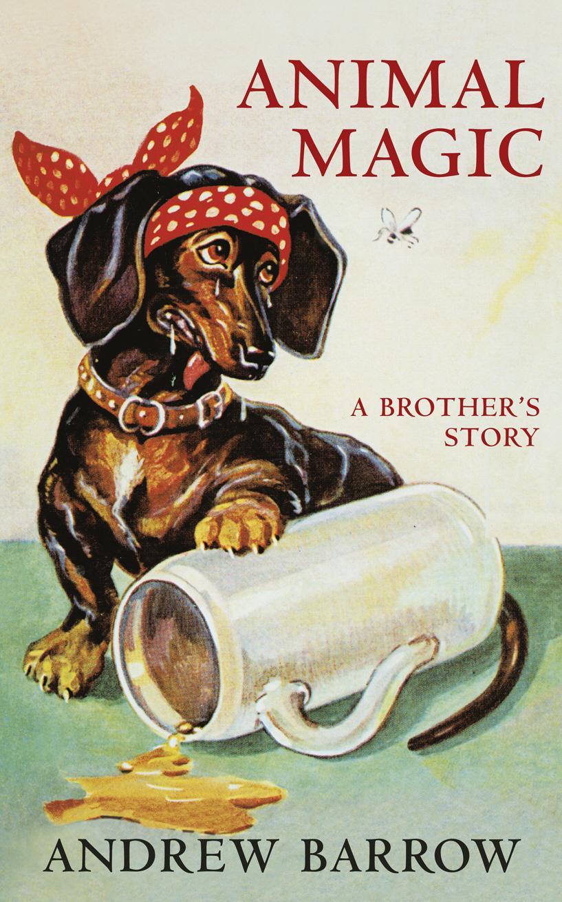 Animal Magic: A Brother's Story - Andrew Barrow