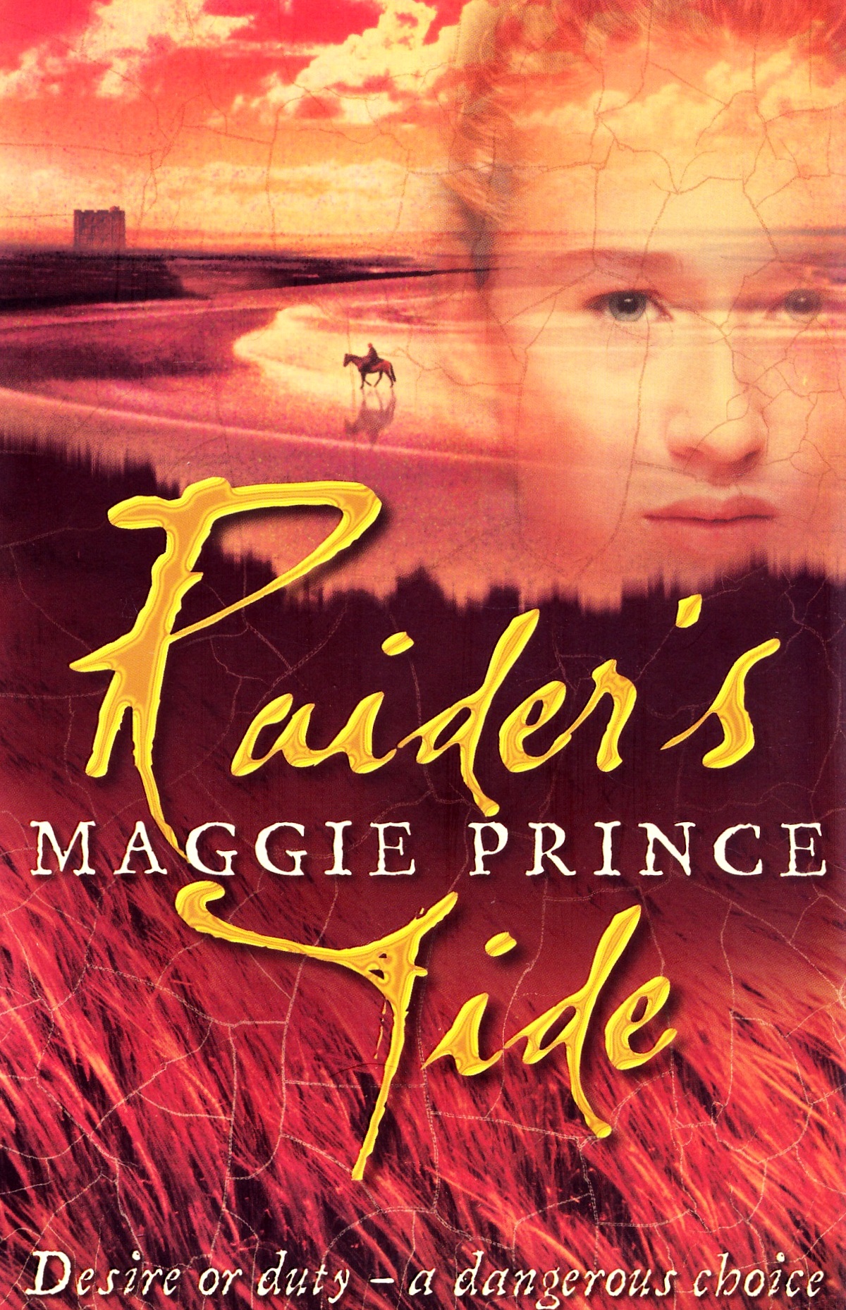 Raider's Tide - Maggie Prince