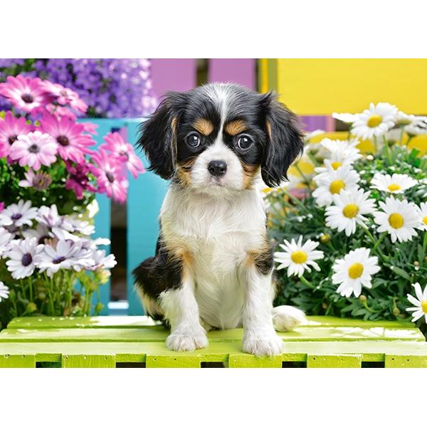 Puzzle 70. Spaniel Puppy in Flowers
