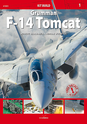 Grumman F-14 Tomcat - Robert Skalbania