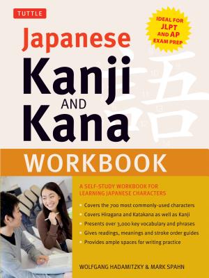Japanese Kanji and Kana Workbook: A Self-Study Workbook for Learning Japanese Characters (Ideal for Jlpt and AP Exam Prep) - Wolfgang Hadamitzky