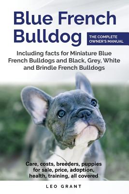 Blue French Bulldog: Care, costs, price, adoption, health, training and how to find breeders and puppies for sale. - Leo Grant