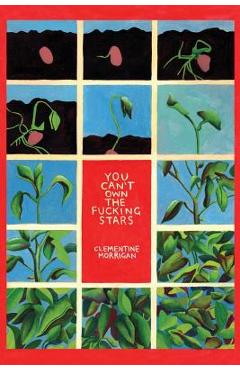 Coperta cărții 'You Can't Own the Fucking Stars: Collected Writings on Trauma, Addiction, Recovery, and Transformation - Clementine'
