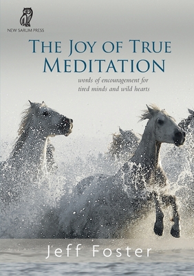 The joy of True Meditation: Words of Encouragement for Tired Minds and Wild Hearts - Jeff Foster